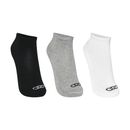 OIWSA81919_2-513-001